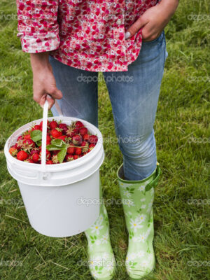 Woman holding pail of fresh strawberries
